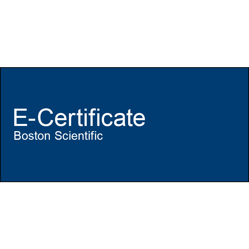 E-Certificate